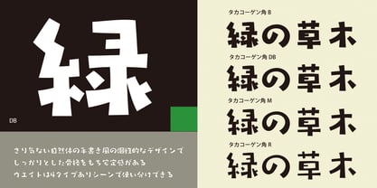 Takakogen-kaku Font Poster 2